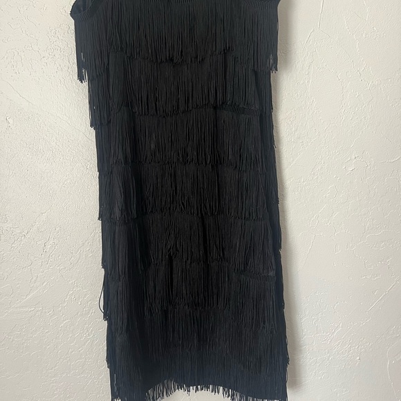 NWOT Flapper Girl Fringe Dress Unique Vintage - Picture 8 of 8